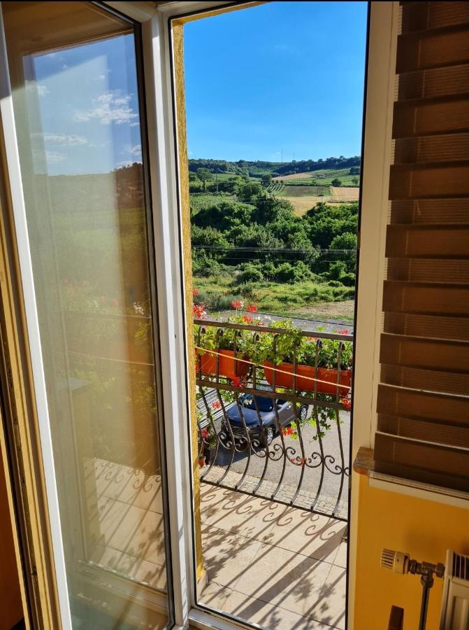 Vila Belilo Karlofça Dış mekan fotoğraf